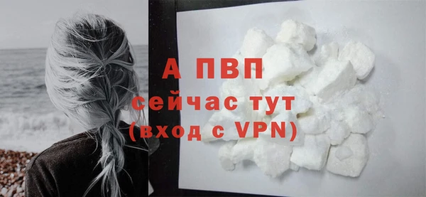 МДПВ Нея