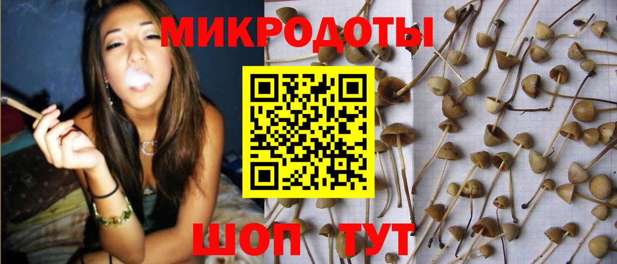 Набережные Челны  где найти   Галлюциногенные грибы прущие грибы  Вход с VPN  Галлюциногенные грибы прущие грибы 